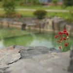 Zen Garden Resort, شقة