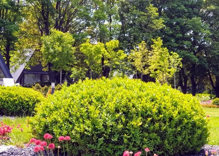 Zen Garden Resort, * Zánka